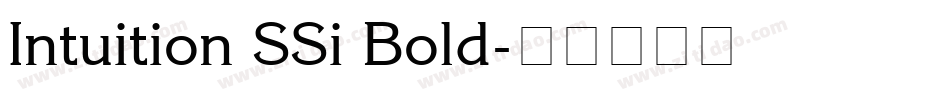 Intuition SSi Bold字体转换